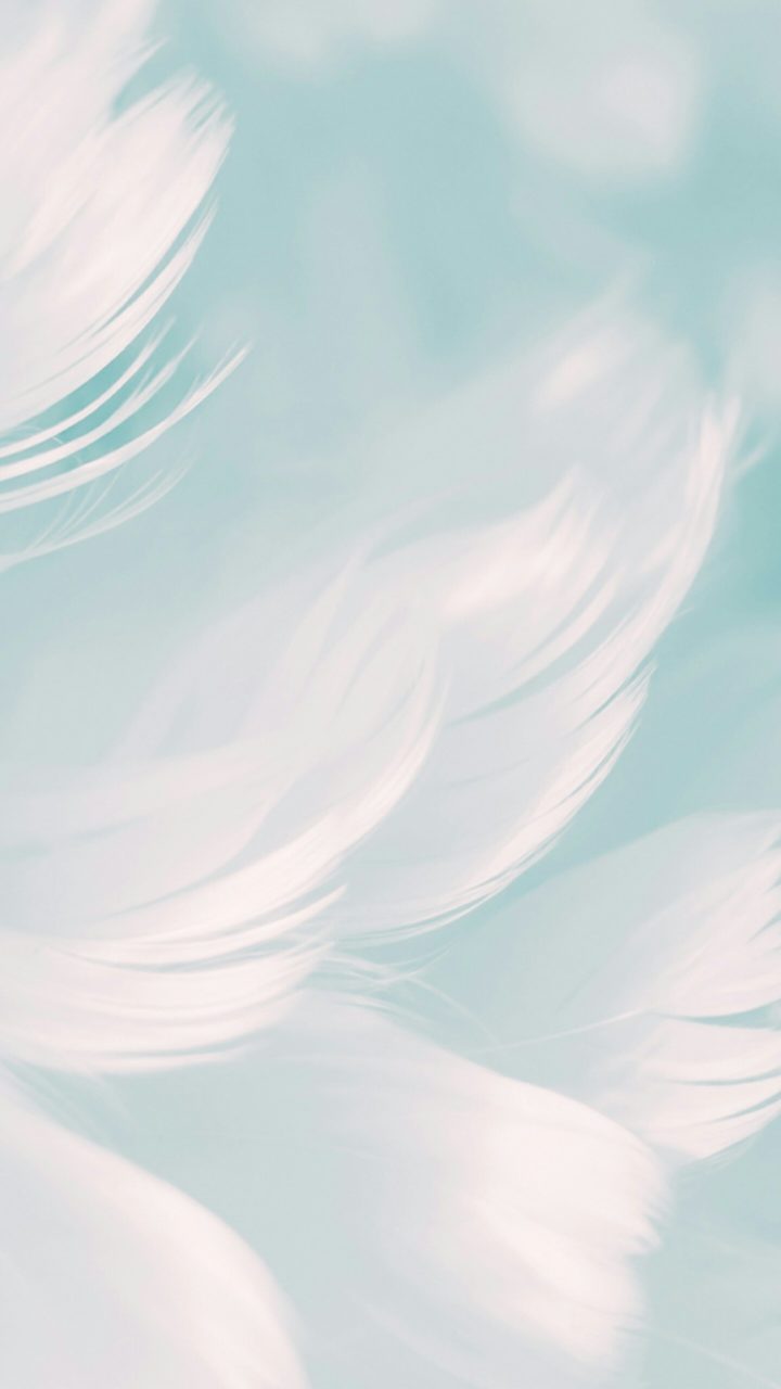 White Feathers Cool Simple Backgrounds Abstract QHD Free Download – HD Wallpapers Backgrounds Images